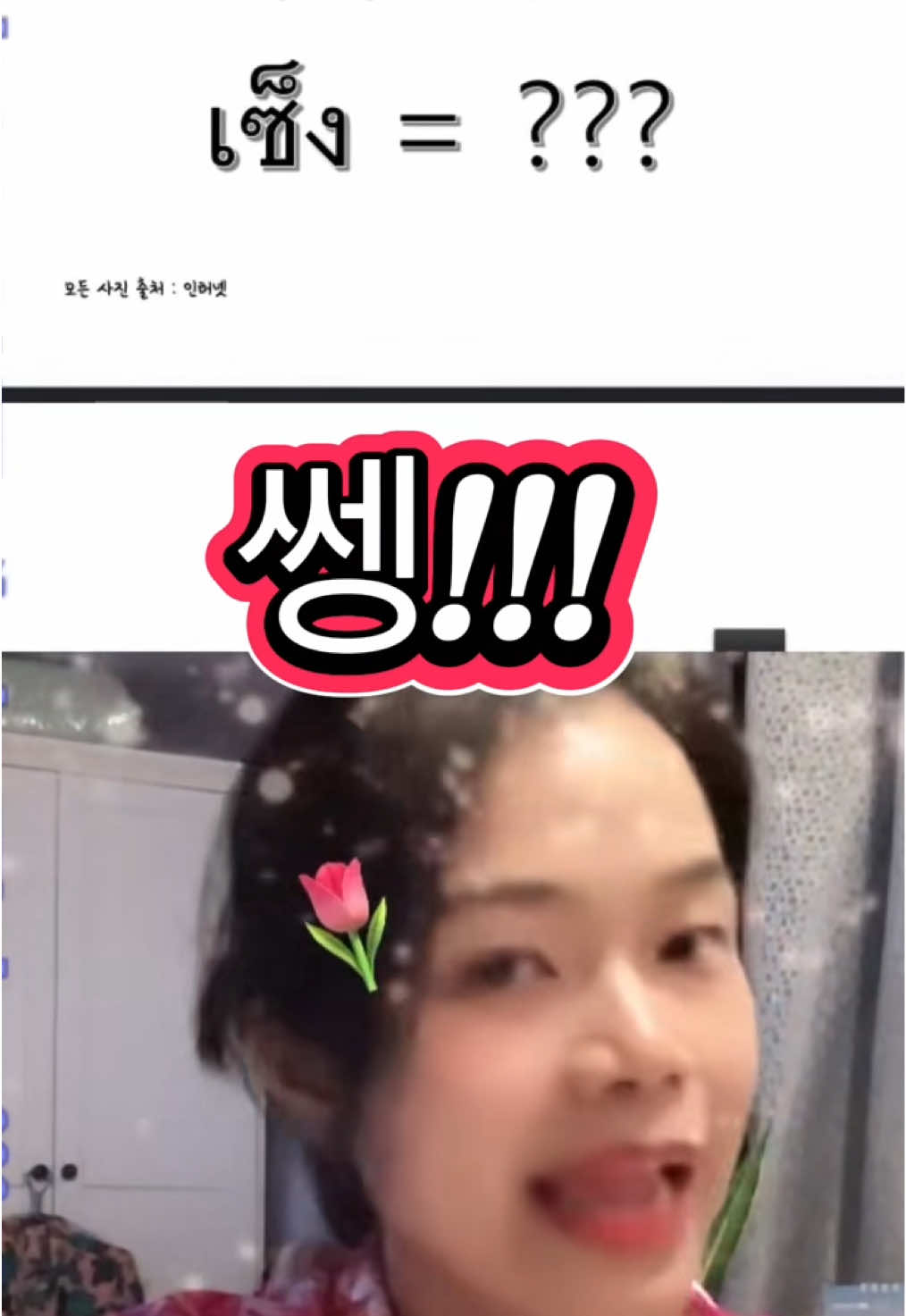 @Youngining TV