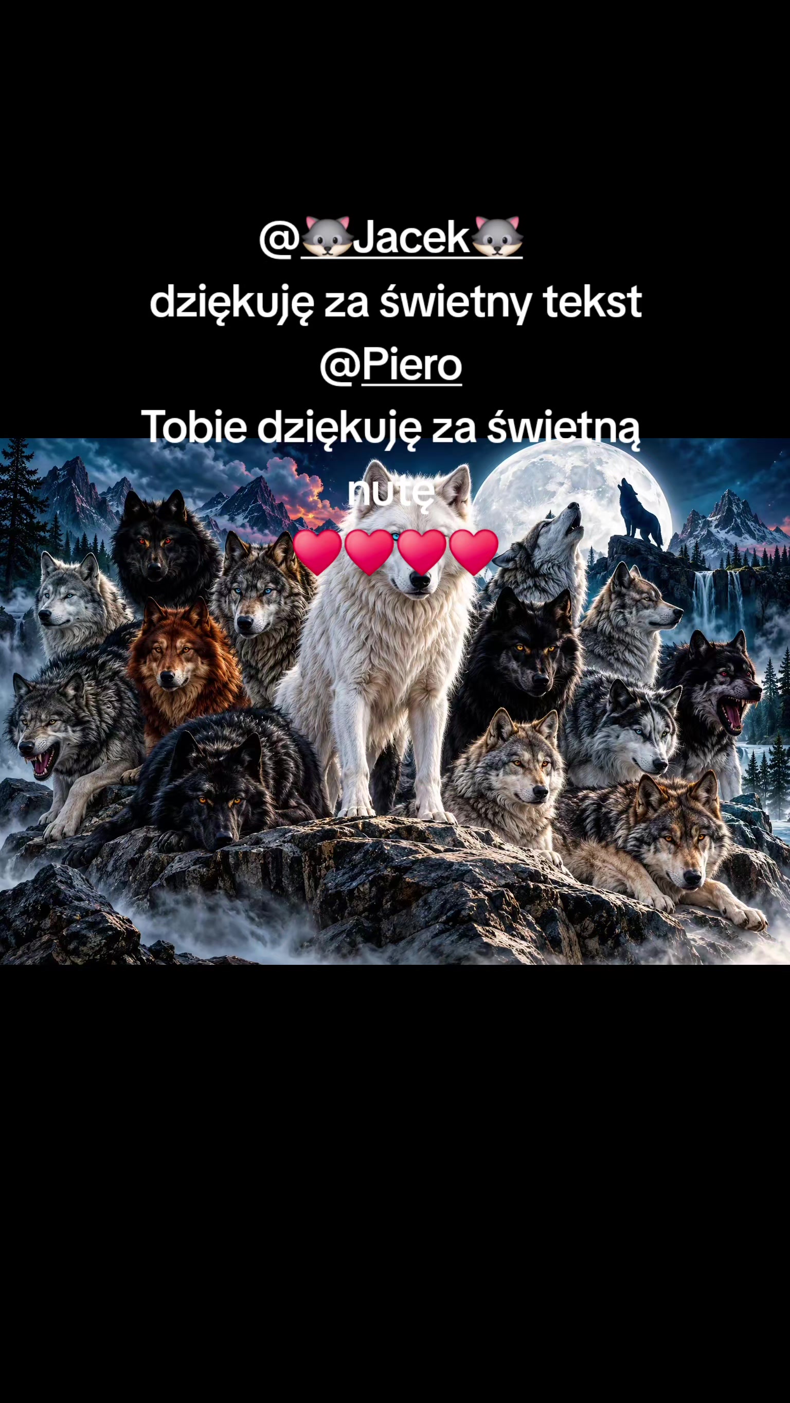 @Wilczyca