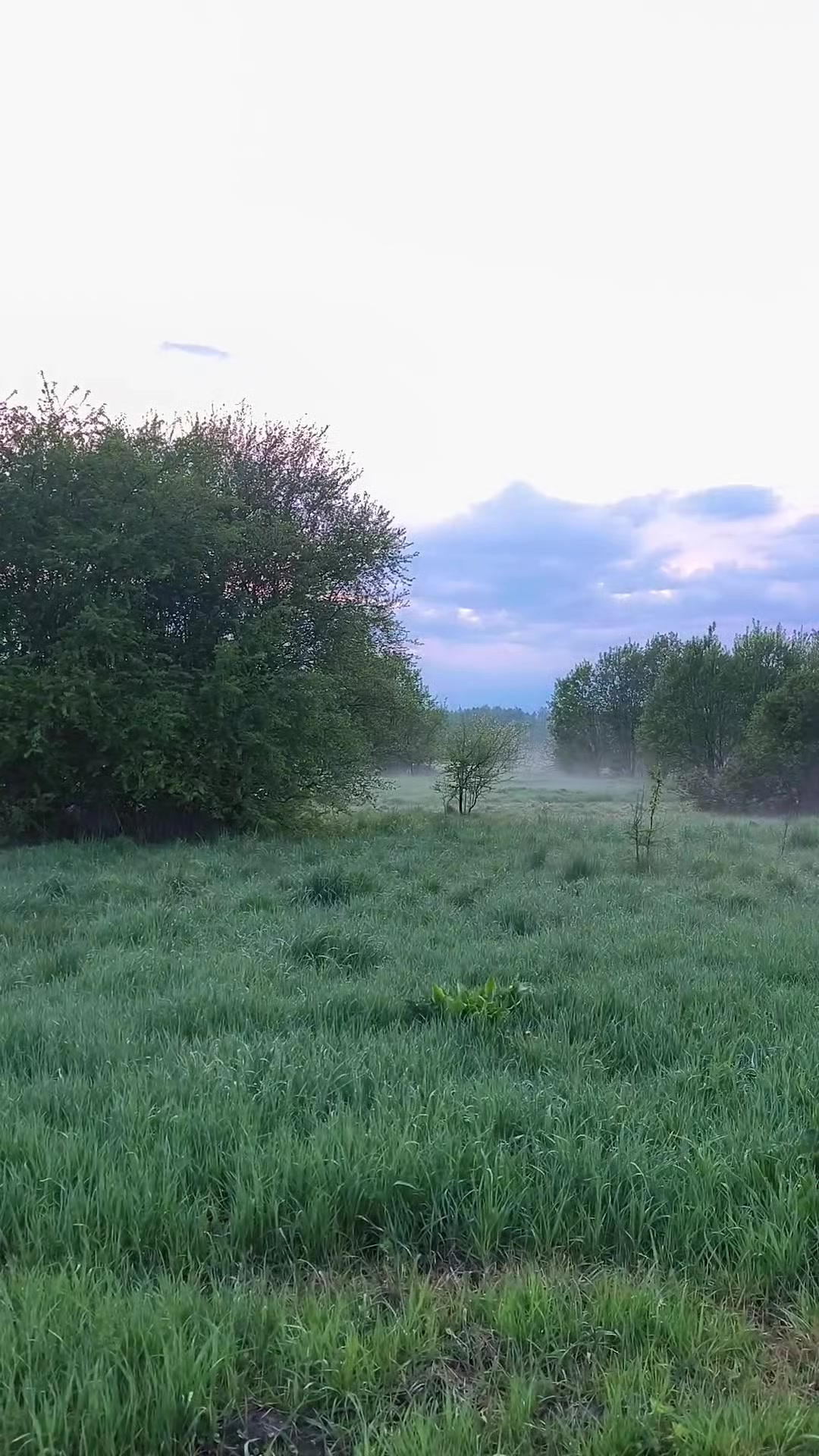 @Vladimir Zorin