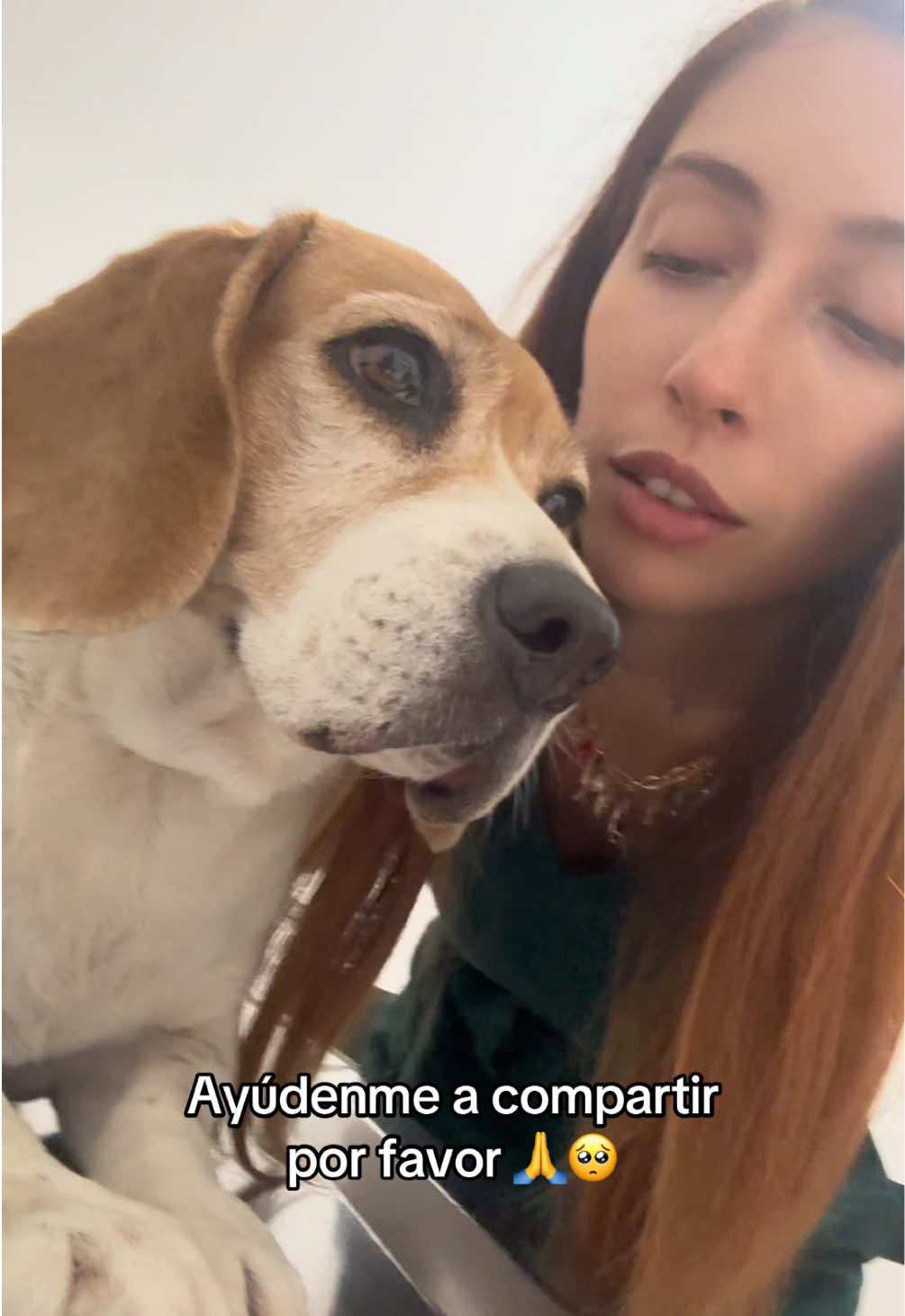 @Ale Toledano