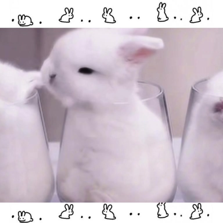 @yαmi❀