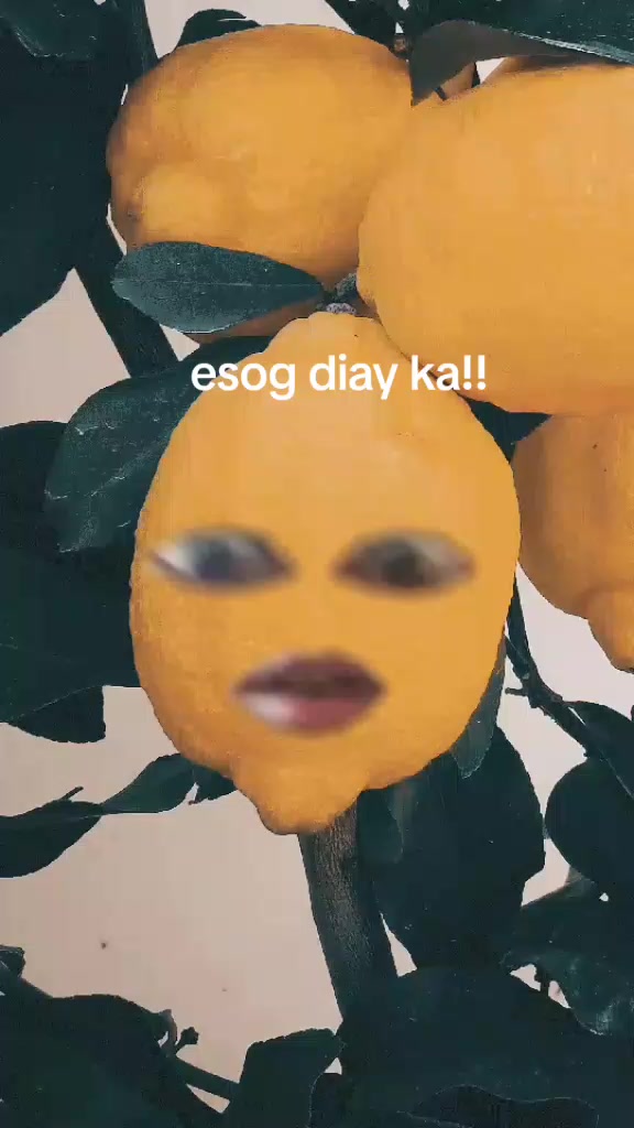 @Ay idol Rogie