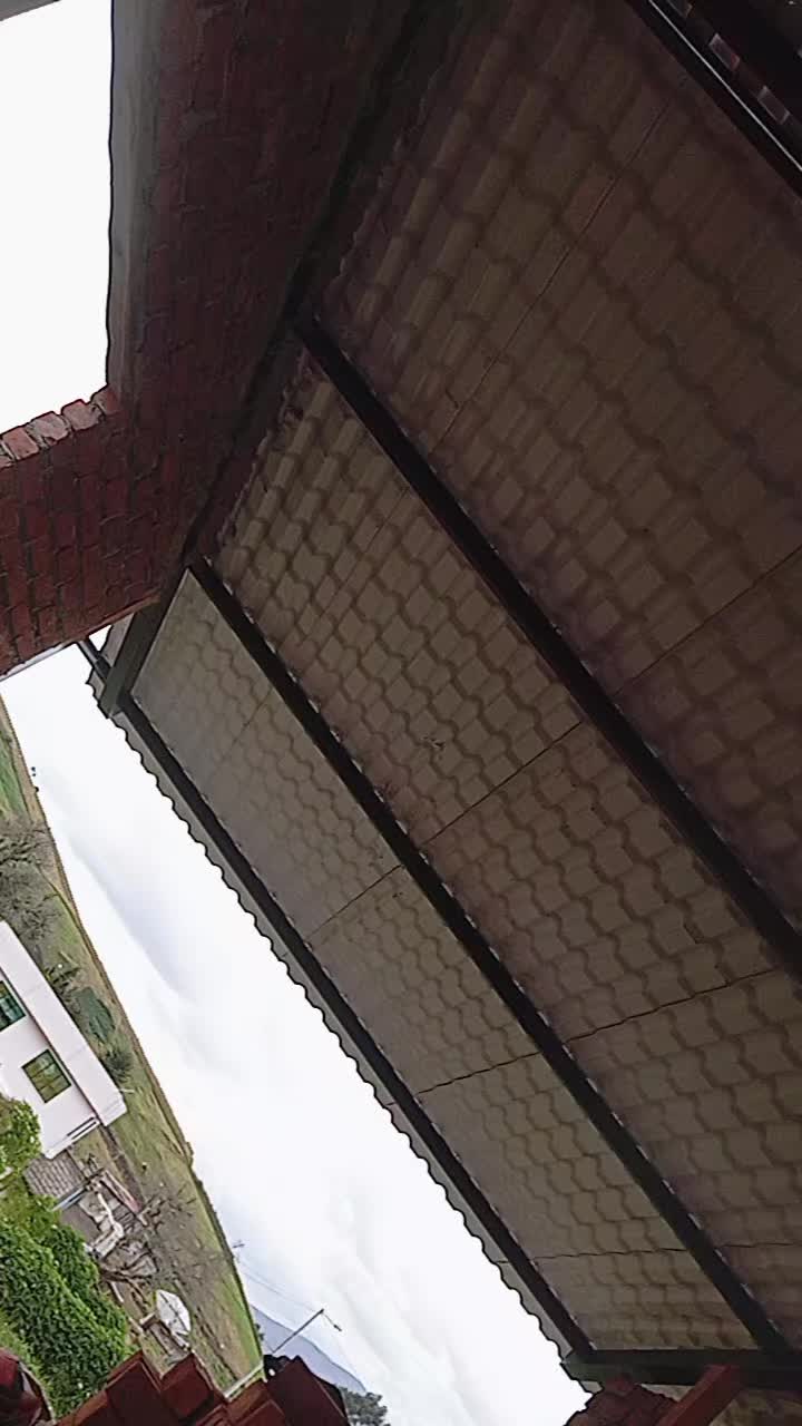 @davichito.RT
