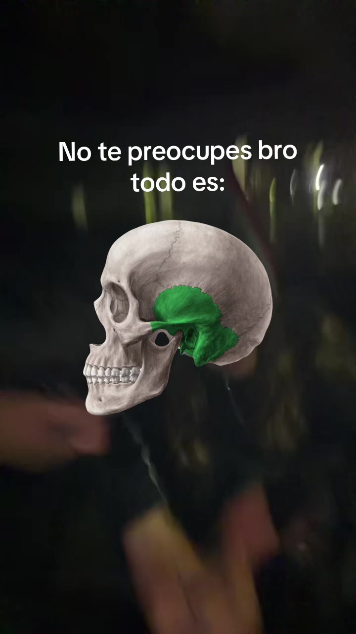 @ENDOBOY
