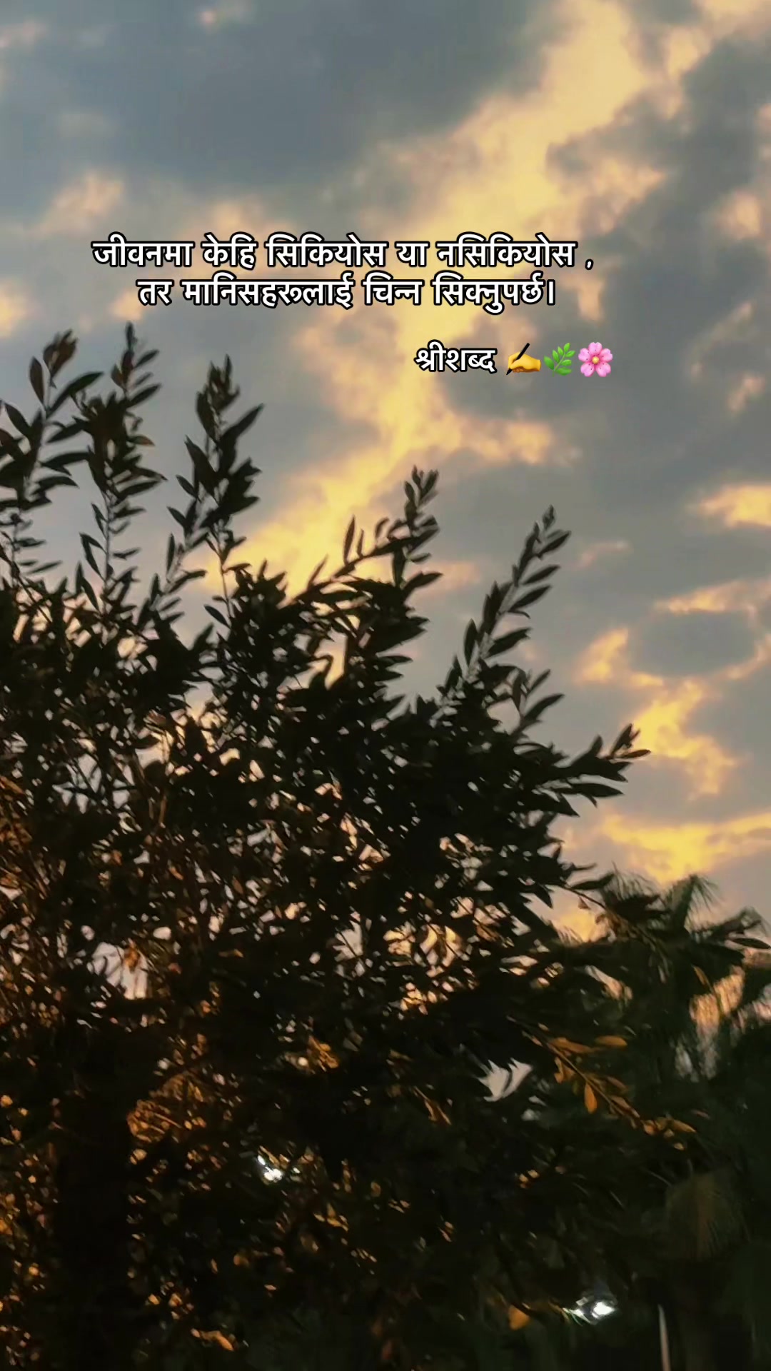 @🌿श्रीशब्द….✍️🕊️🍁🍂