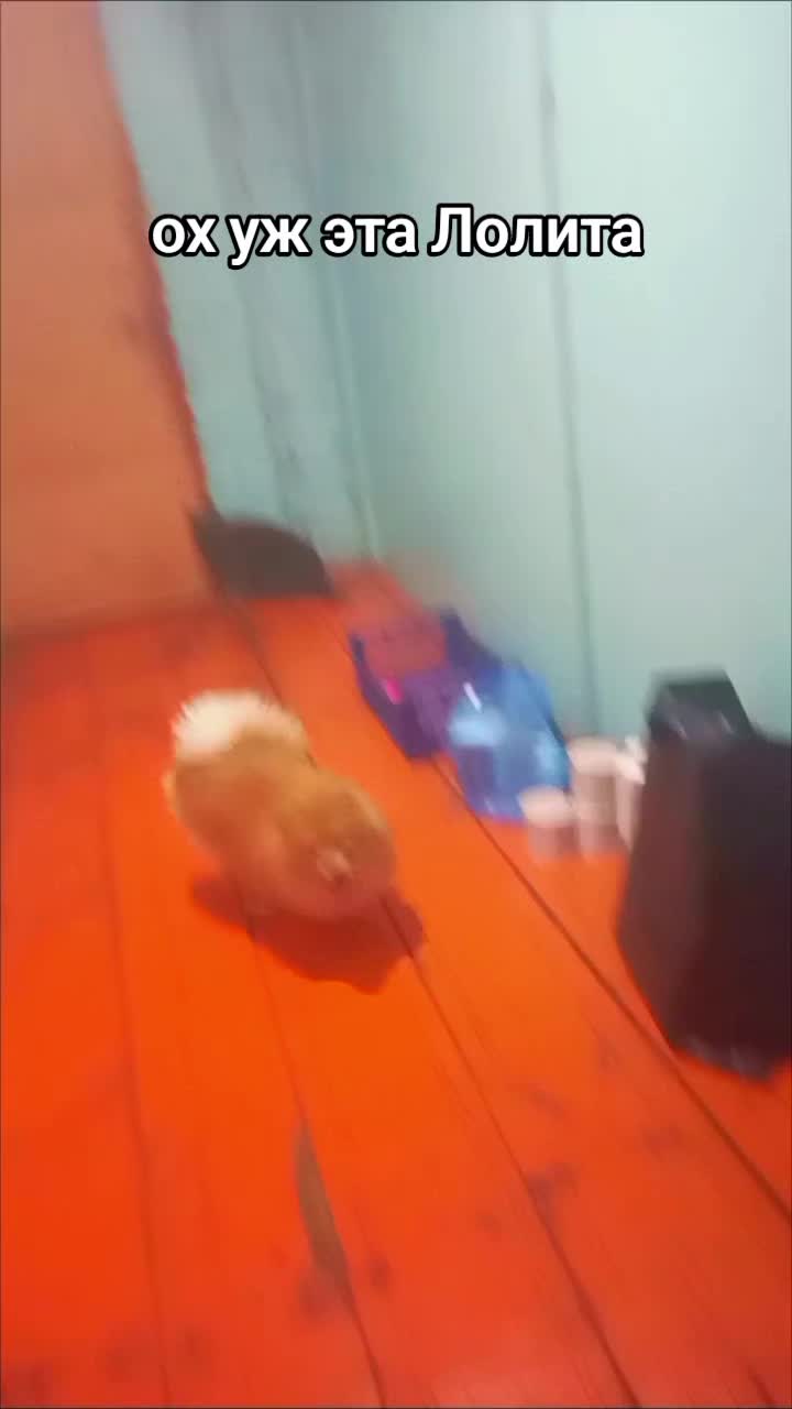 @Лëса