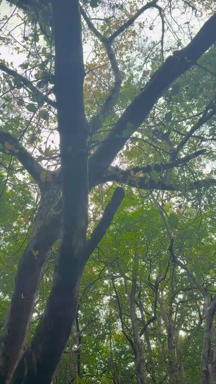 @Suju Malla Thakuri❤️