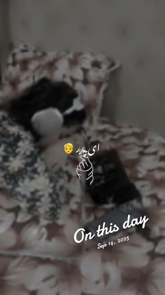 @(◍•ᴗ•◍)❤