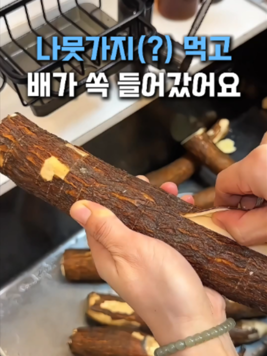 @서자매샤핑