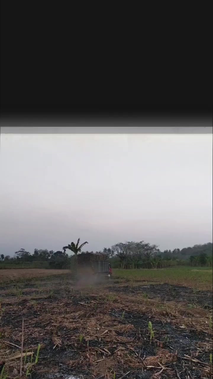 @bangjuanda591