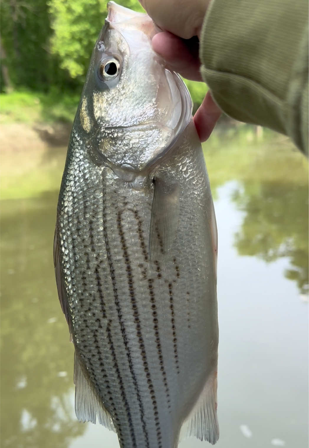 @Kentucky&ensp;Fishing