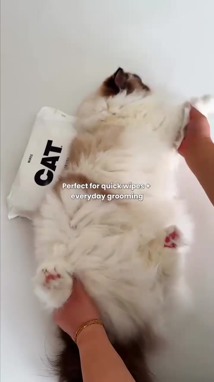 @CAT by Dr Lisa