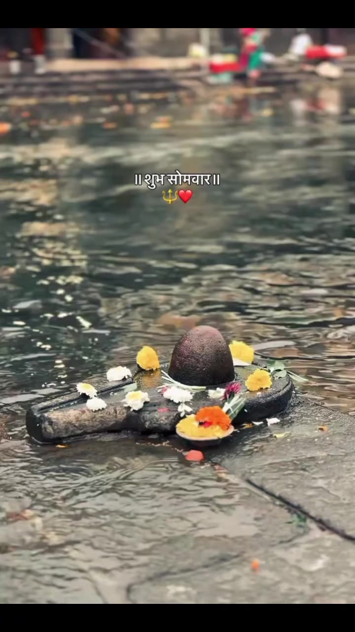 @सदाशिव🕉️