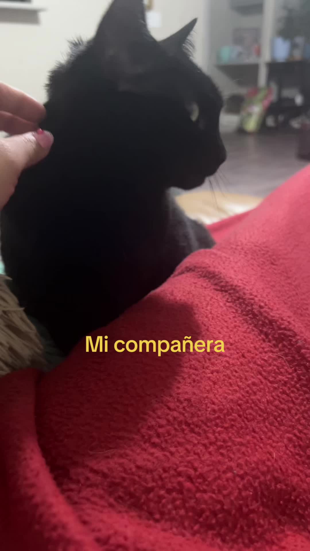 @Leo Reyes