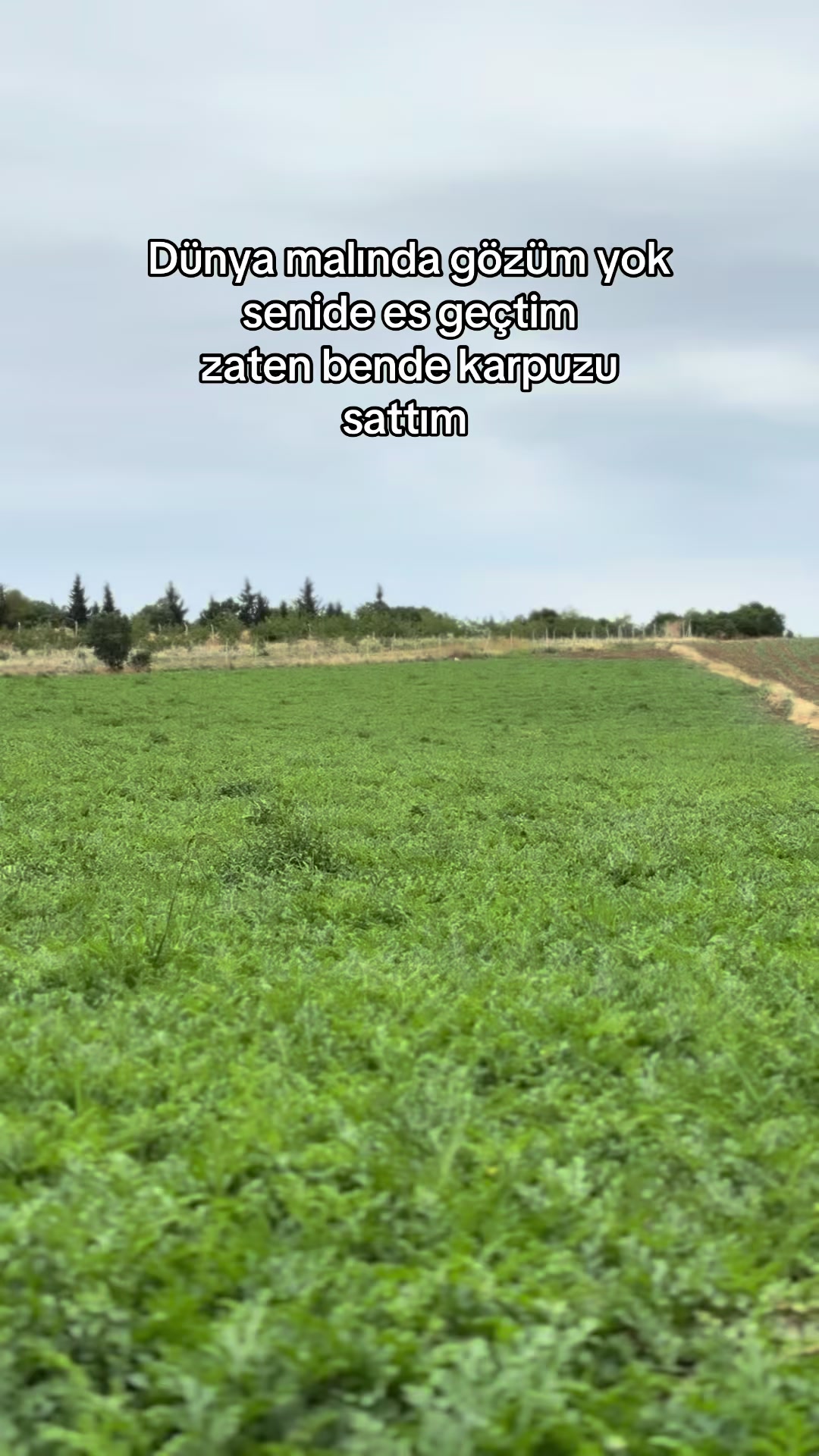 @gozde
