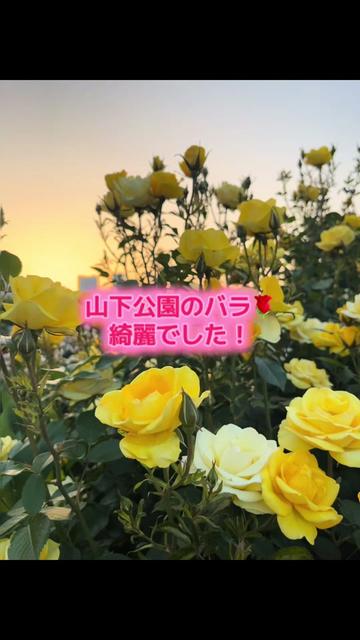 @☘️えりんこ☘️👽
