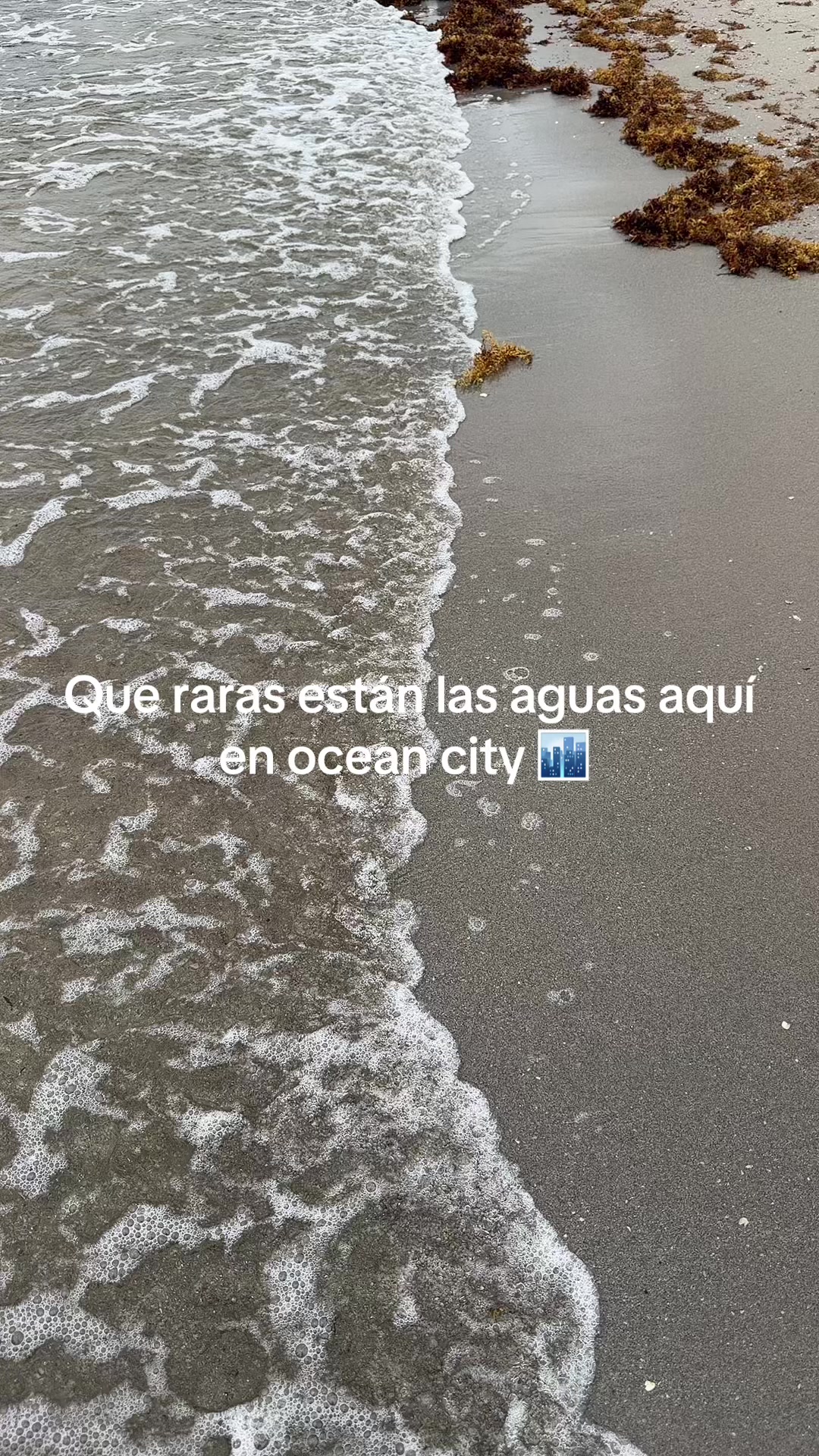 @rigo_ruiz