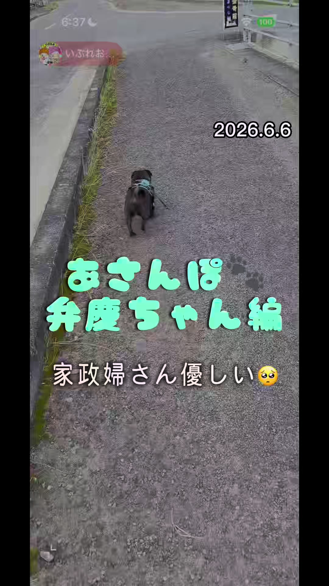 @すずか🧊🫧