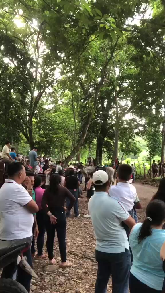 @Fernando Pineda