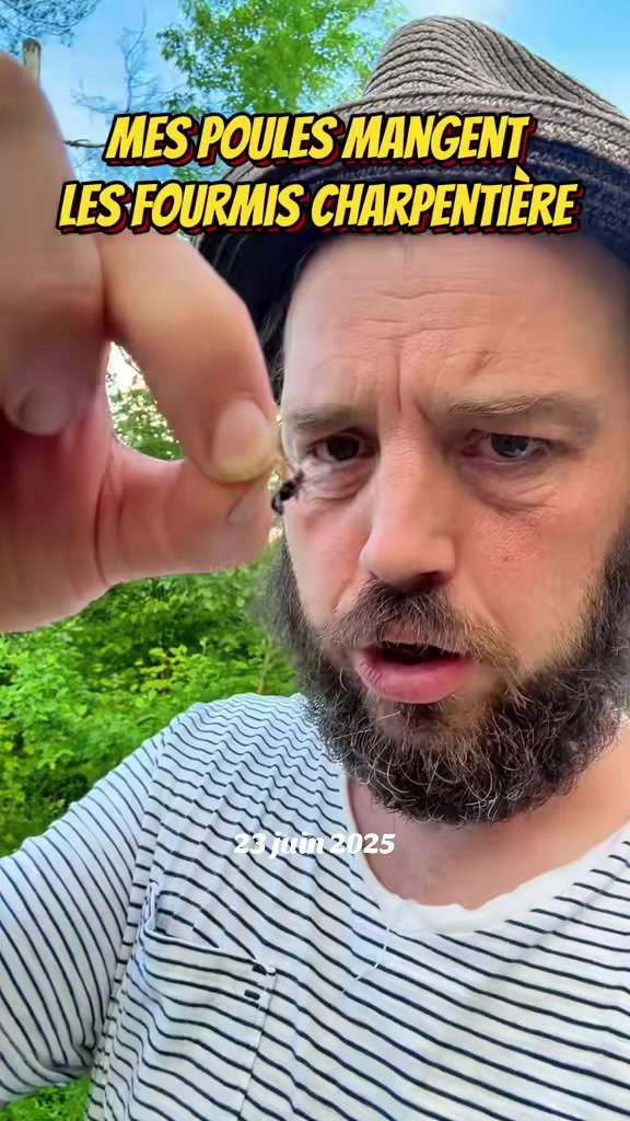 @r&ecirc;ves en chantier