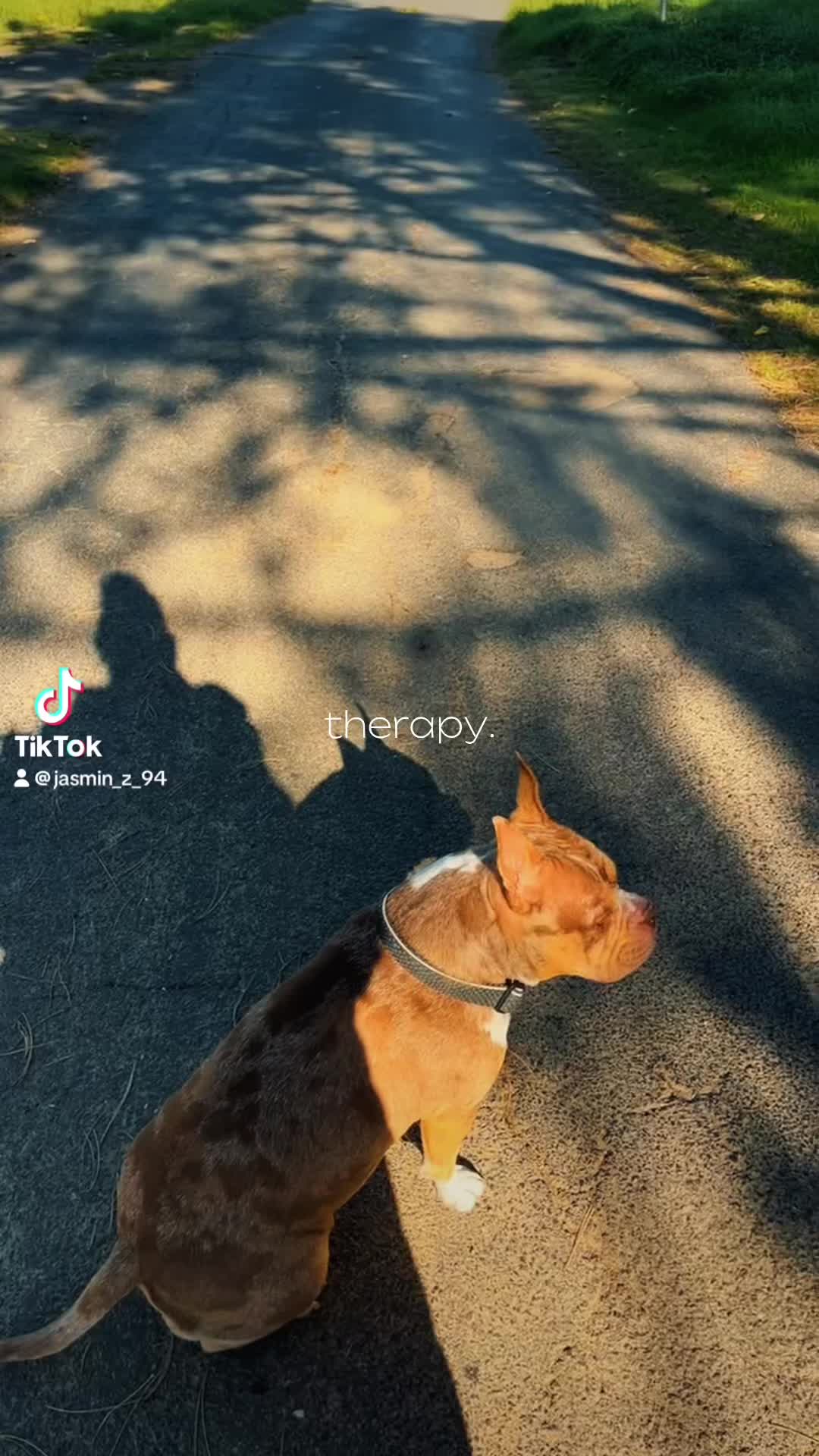 @๐๐๐ค๐๐๐_๐ซ_๐ก๐