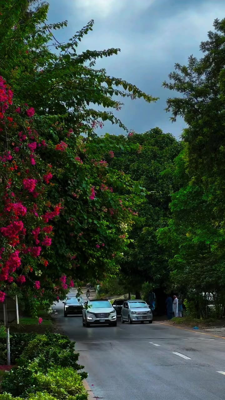 @Nature vibes