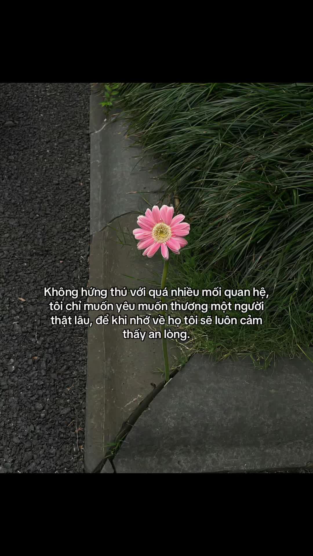 @ɦươɲɠ🍁 ᰔᩚ