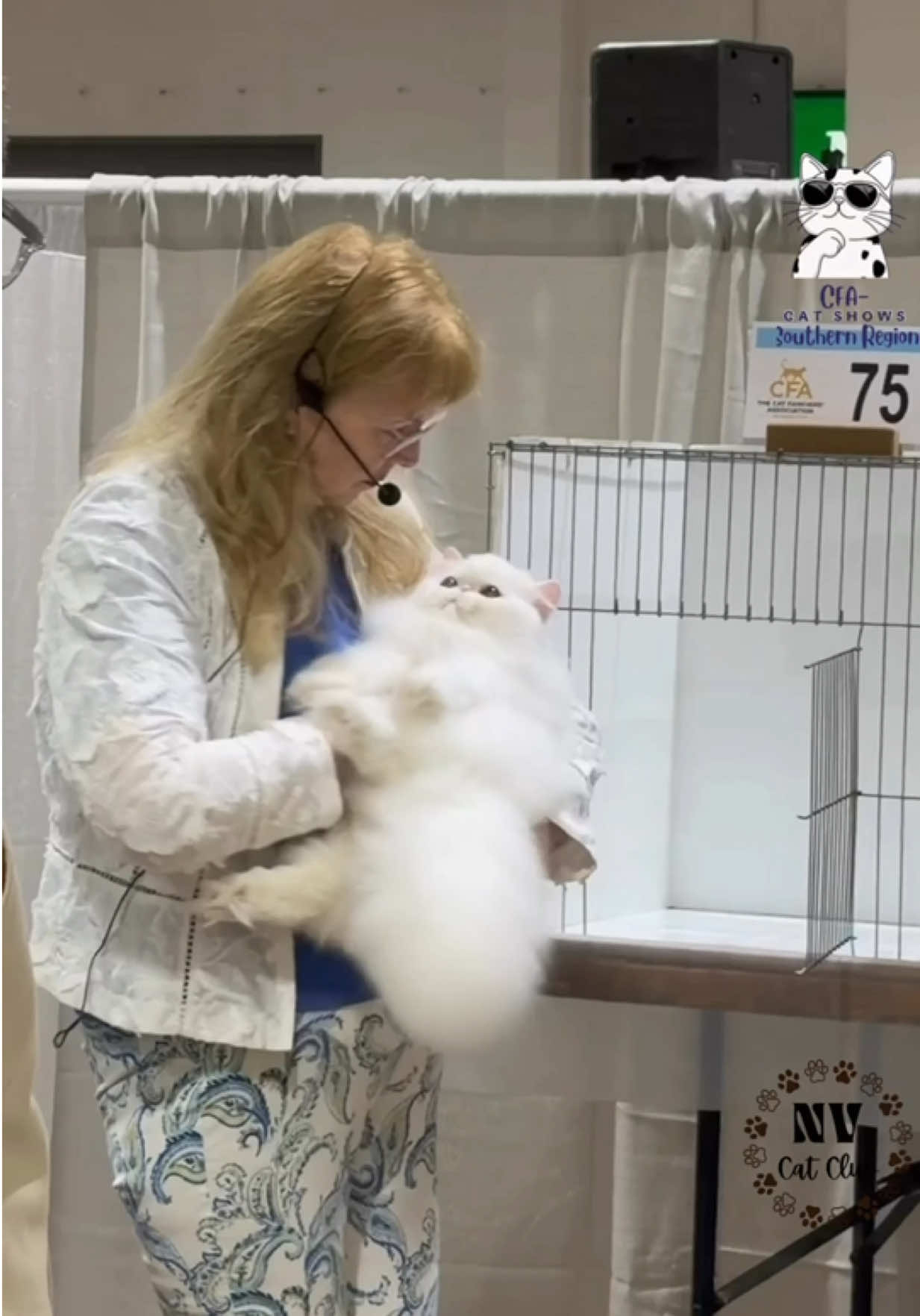@NewVisionCatClub