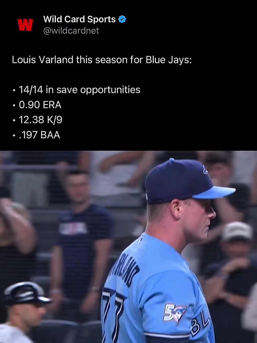 @Wild Card Sports