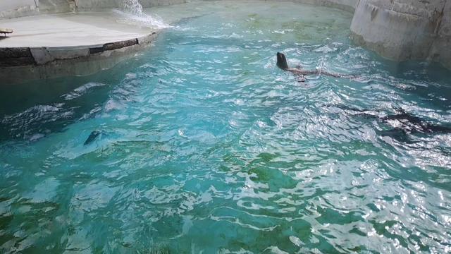@9_Raadmilaa_8