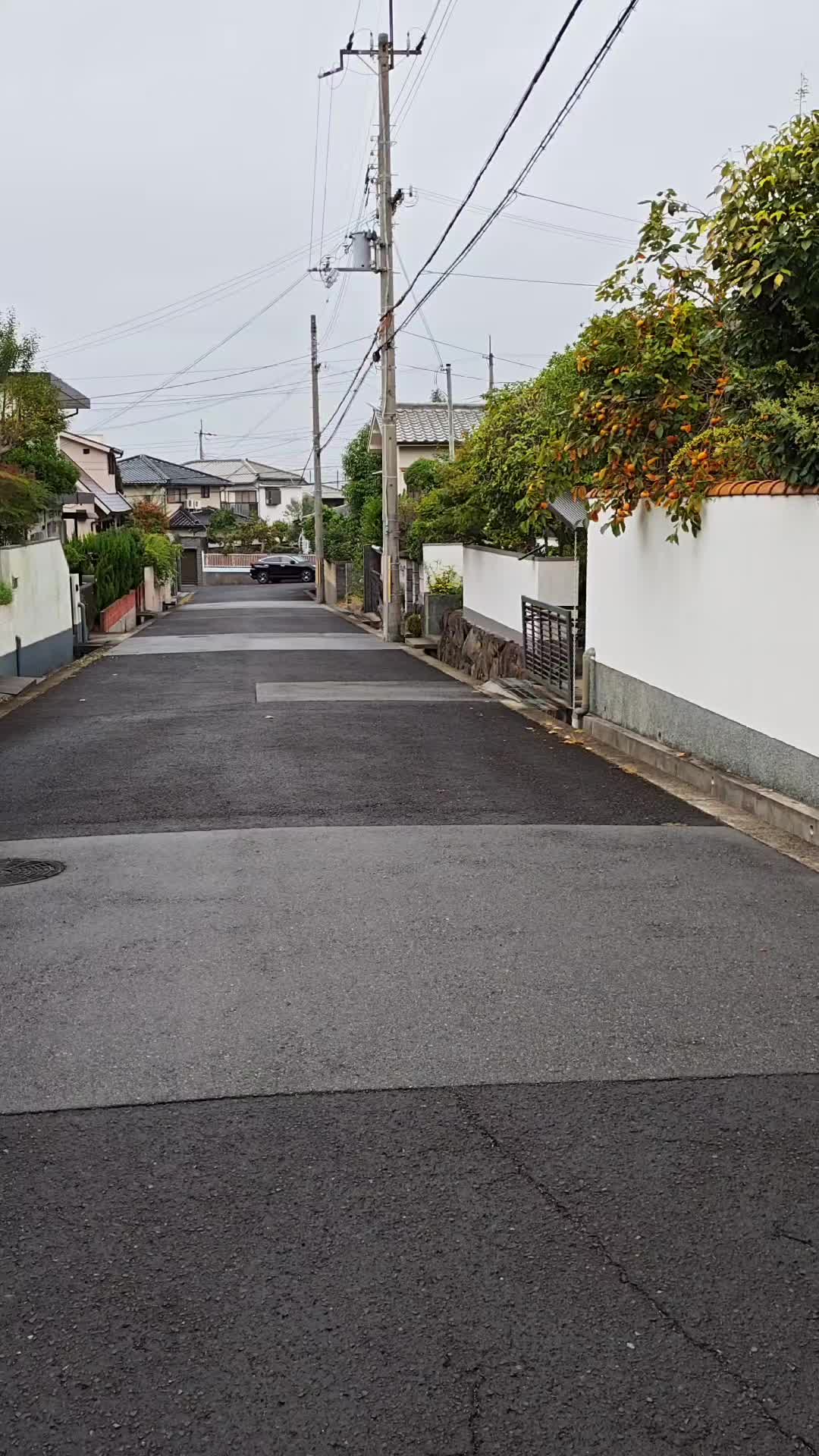 @在神户的弥罗君