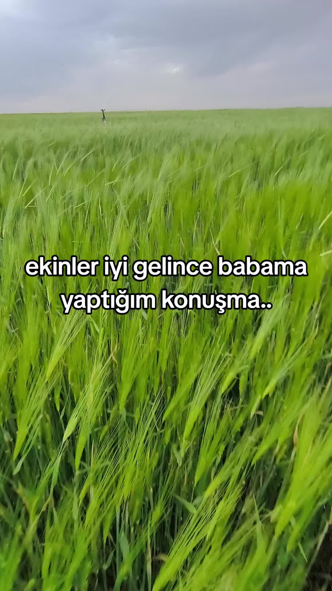 @Emrah Ceylan