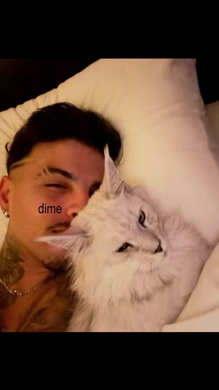 @🎧📝🎥