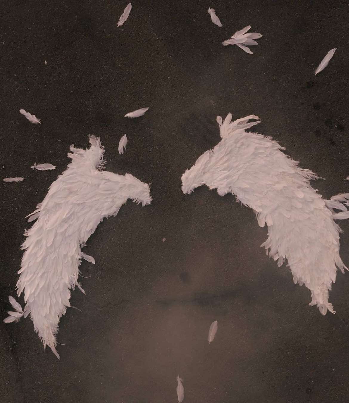 @v𒂭𖣘𒂭
