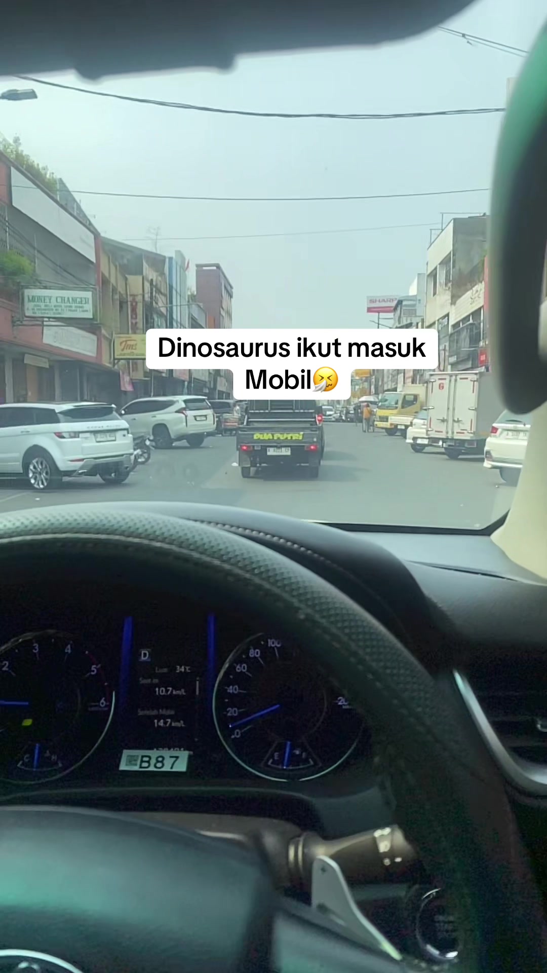 @yulgi
