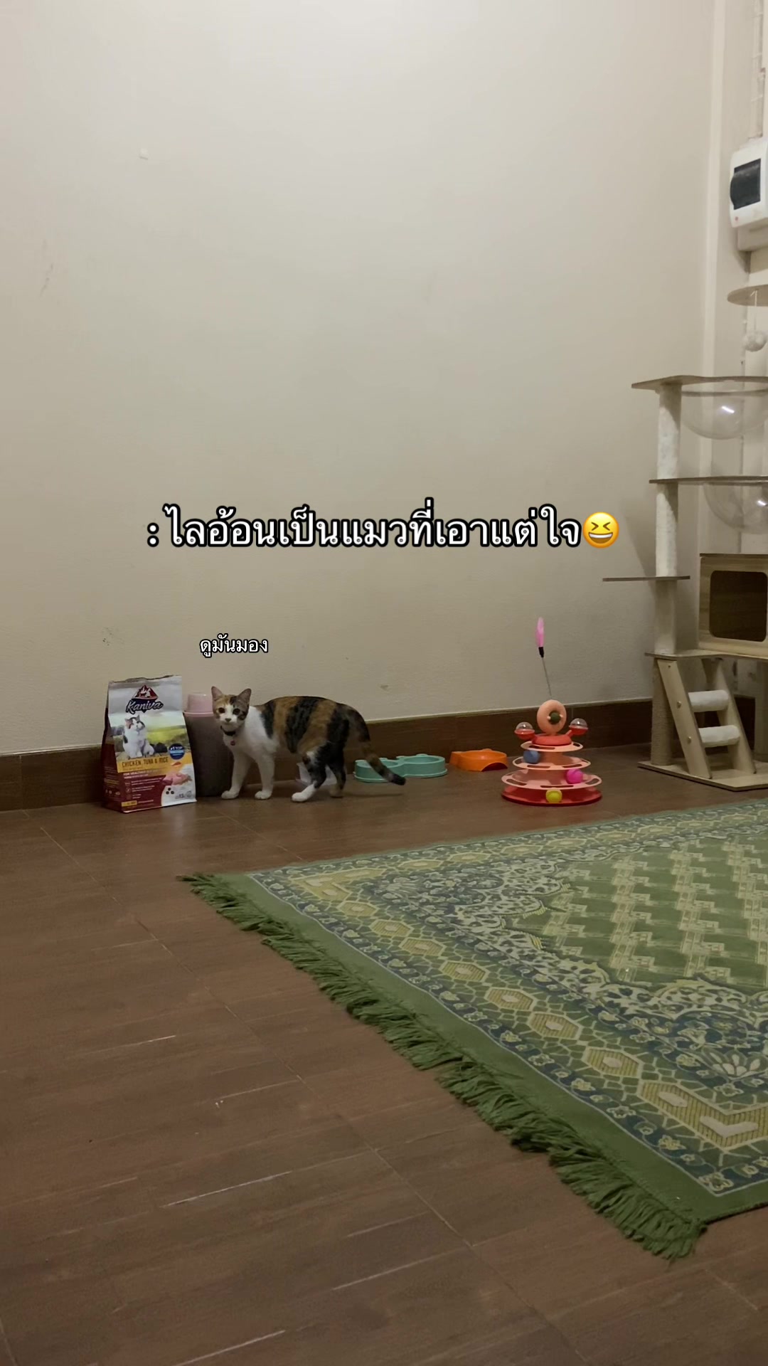 @พีชชี่ชอบกินมัทฉะ🍵
