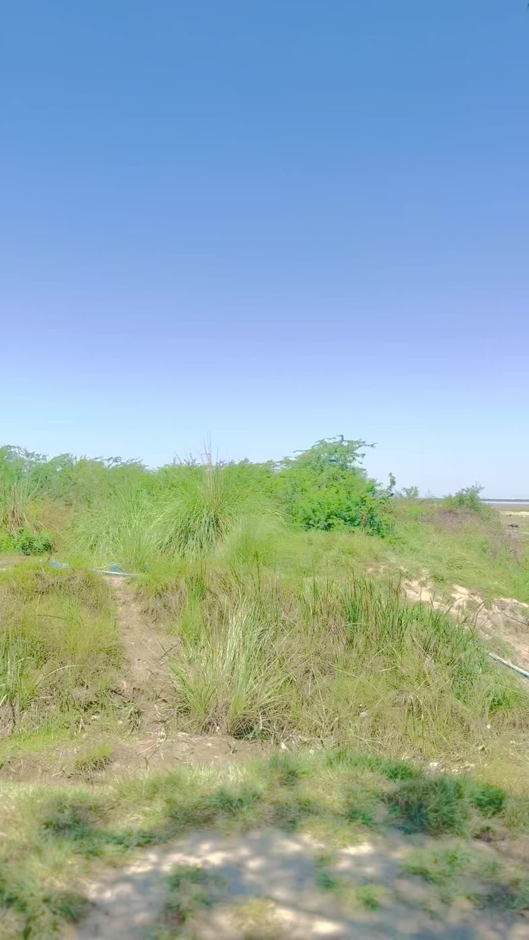 @نعیم