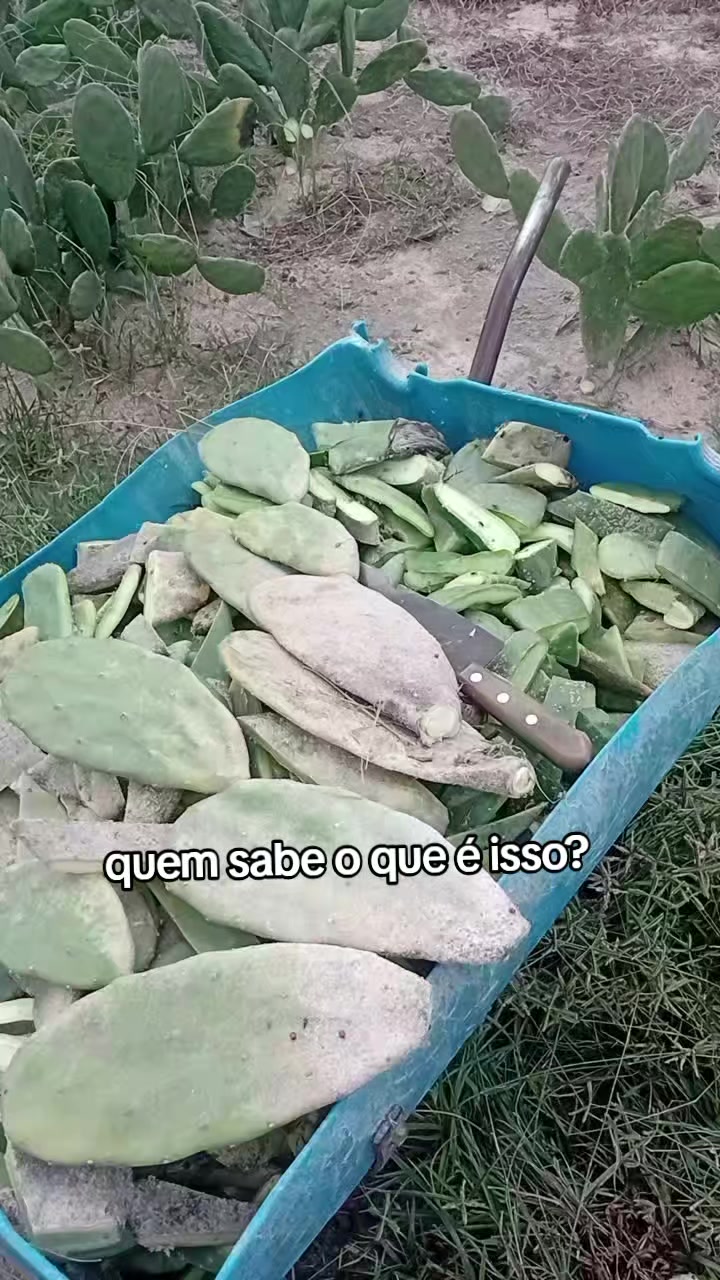 @jocriador