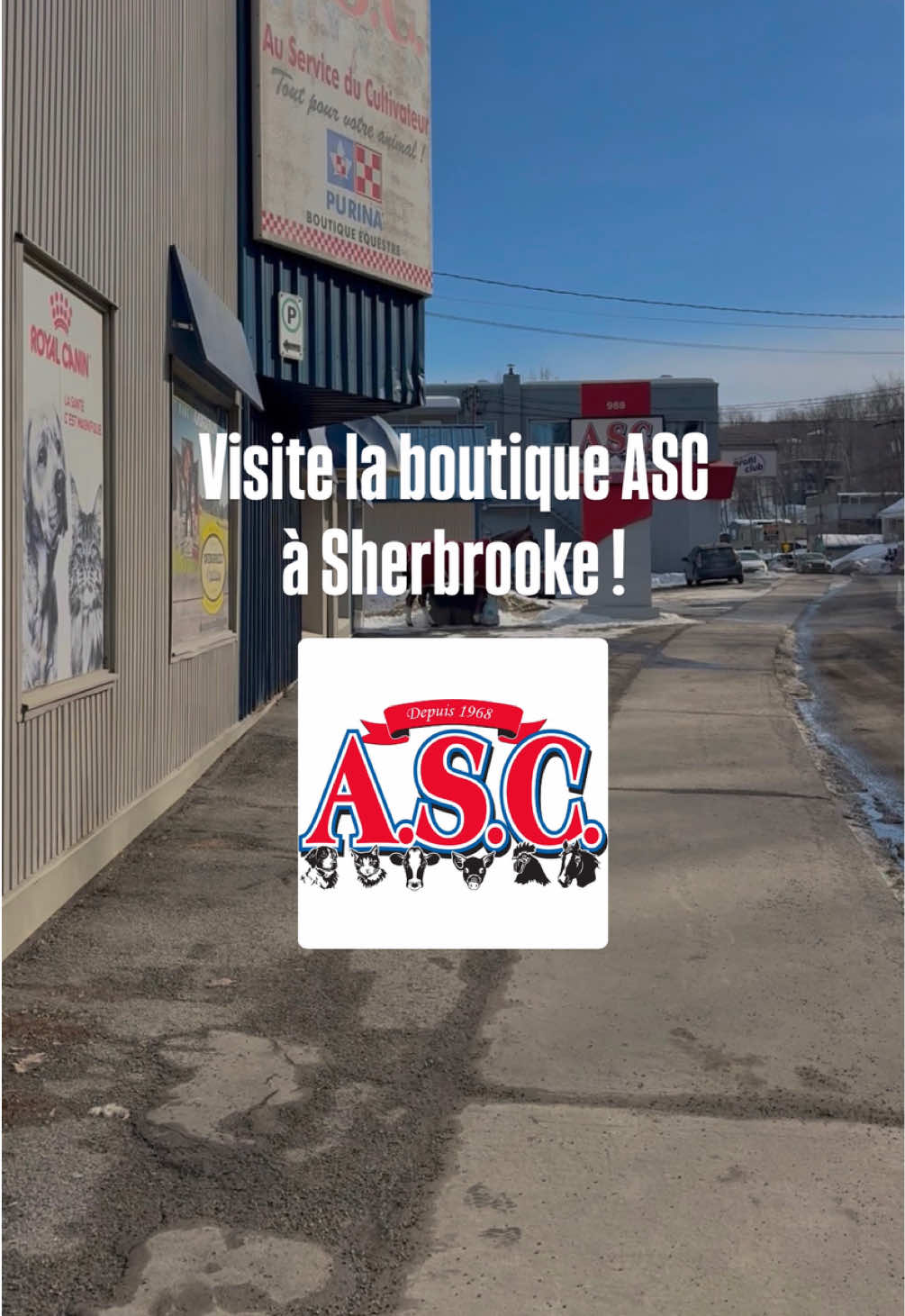 @ASC | Tack Shop 🐎🇨🇦