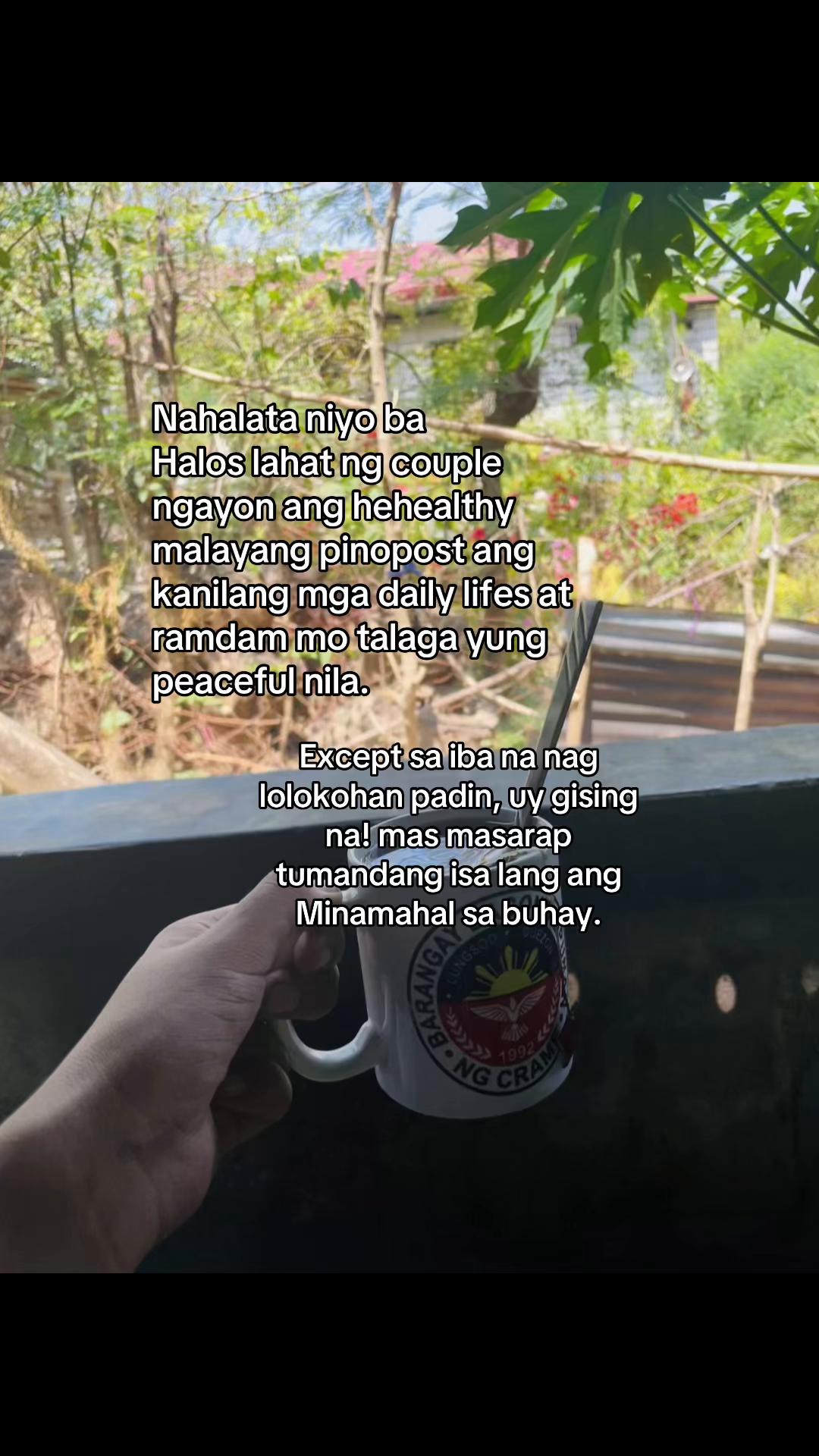 @MeowHaduken