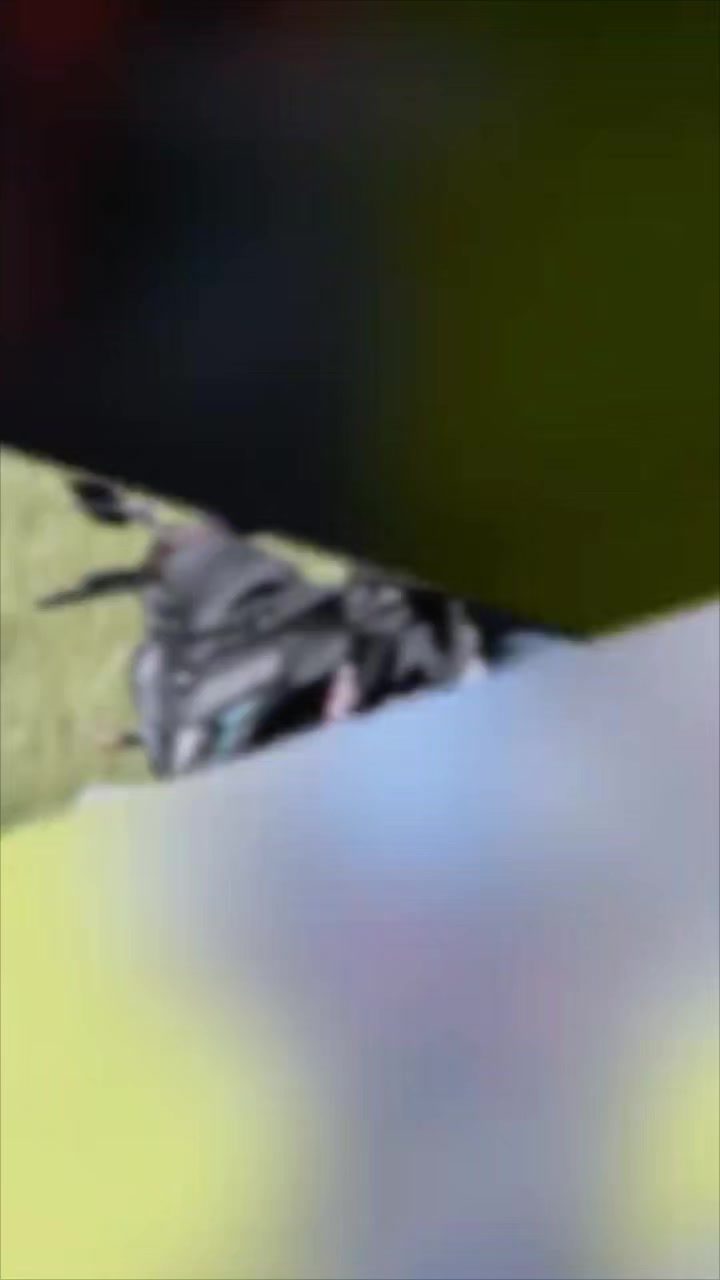 @Rahumanโค๏ธ