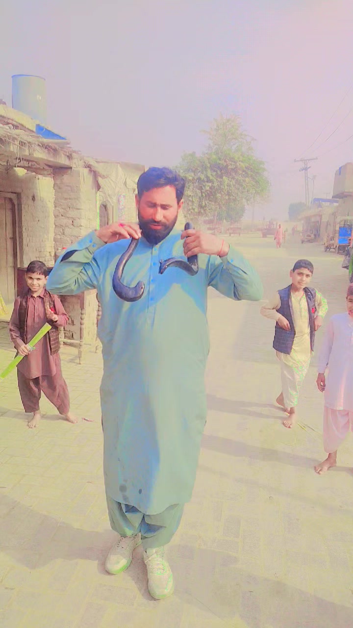 @Shafique Ali
