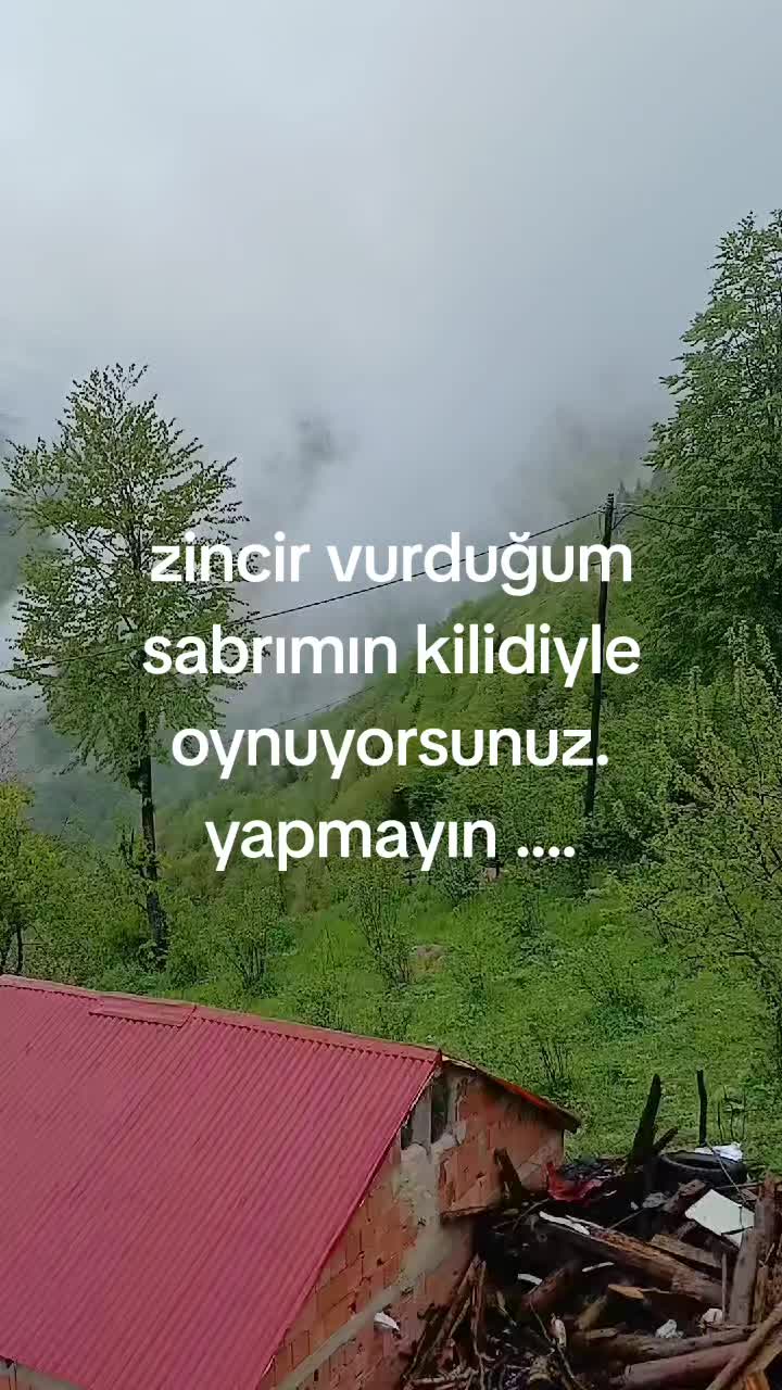 @meşüre memiş