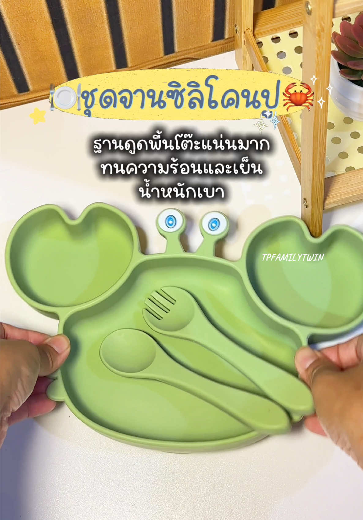 @TP FAMILY TWIN