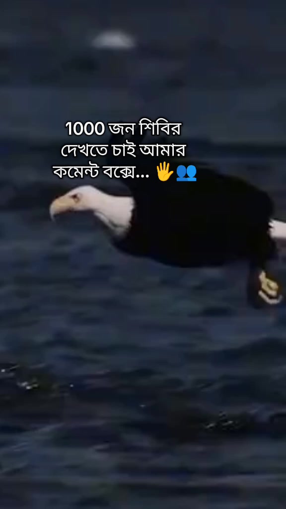 @🌪️𝙱𝙸𝙲𝚂 𝙵𝚎𝚗𝚒🙌