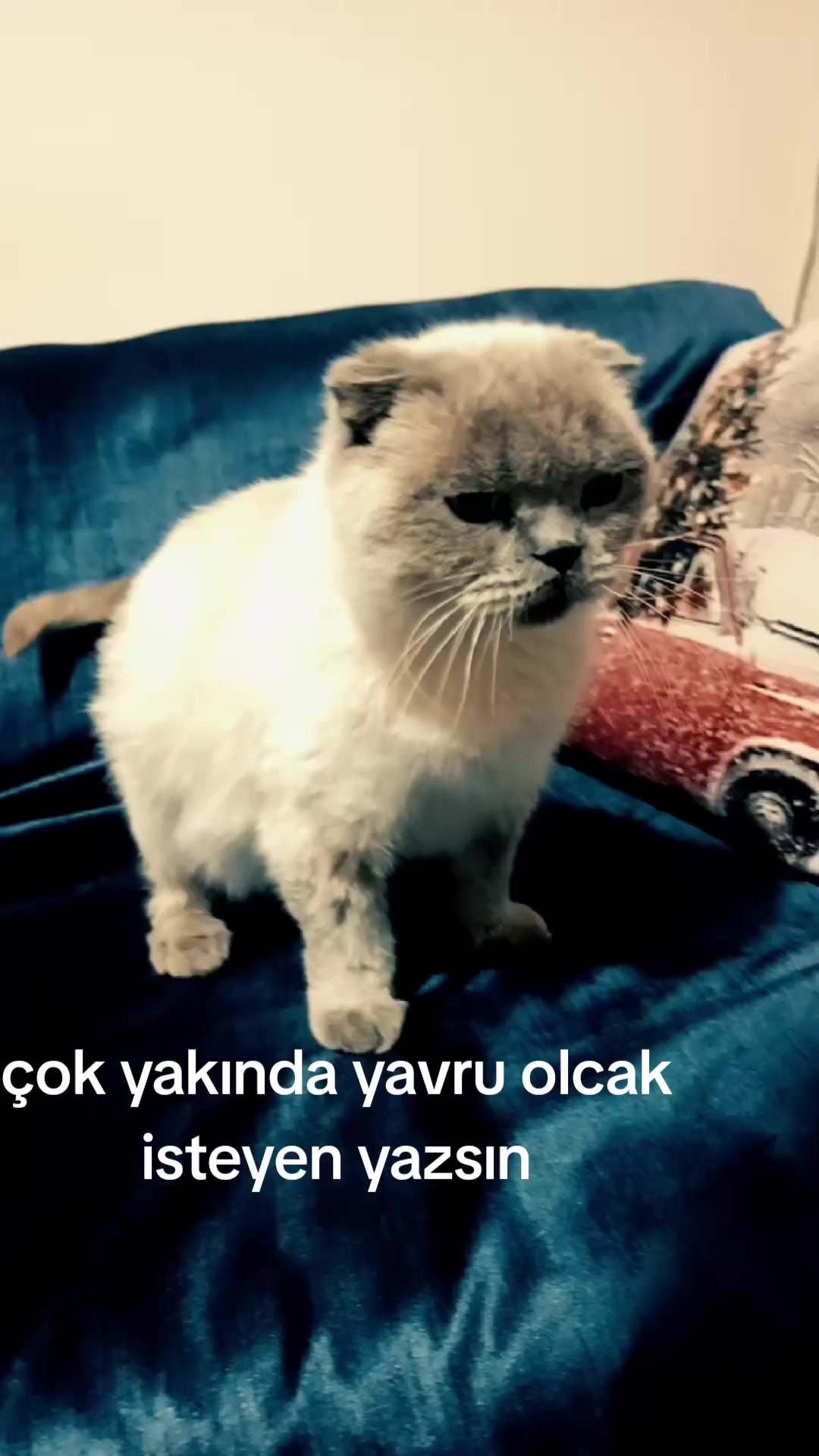 @✌✌&Ouml;ZDEMİR AŞİRETİ✌✌
