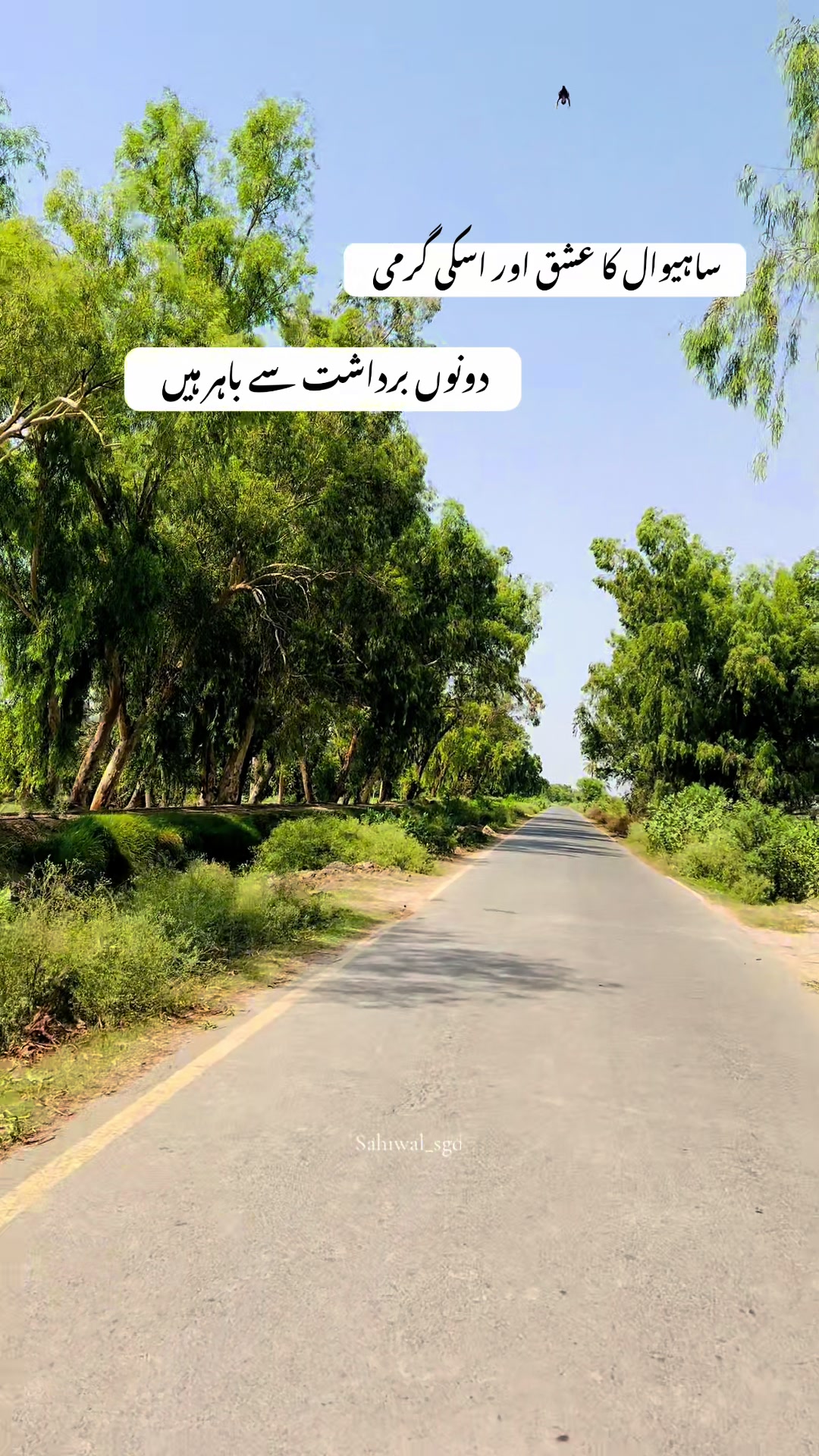 @ساہیوال🫀🥀