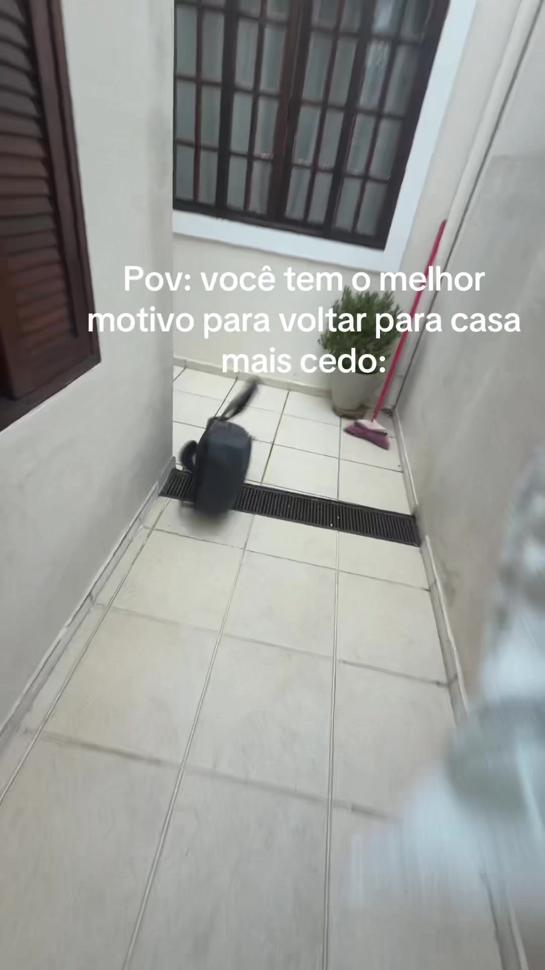 @Biluzinho