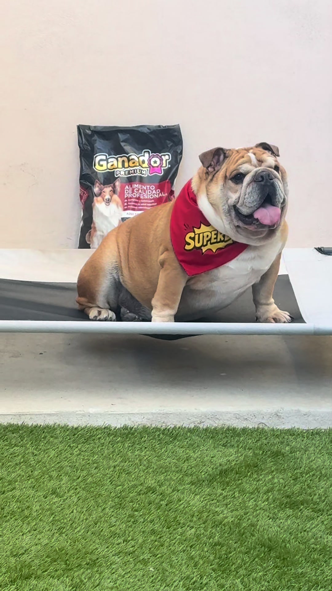 @Campeón Winston