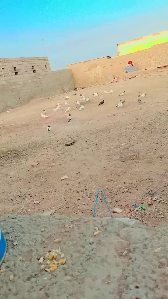 @✌️Naheed✌️Sahu🥷🇸🇦